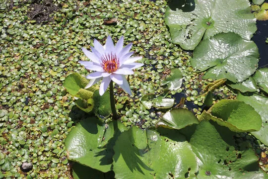 澳洲幸运10直播